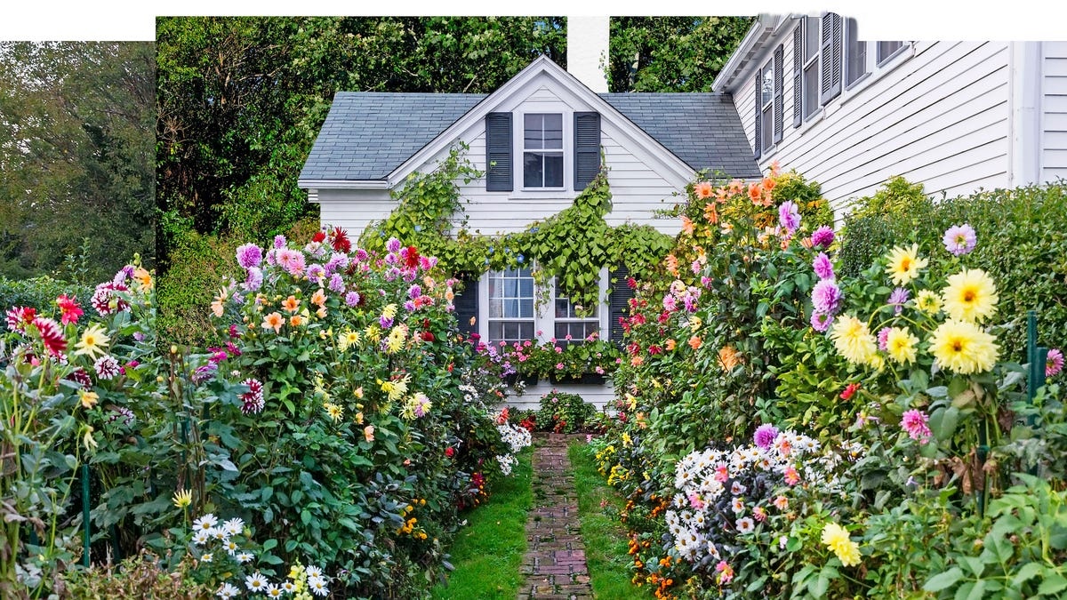 Beautiful English country garden in summer