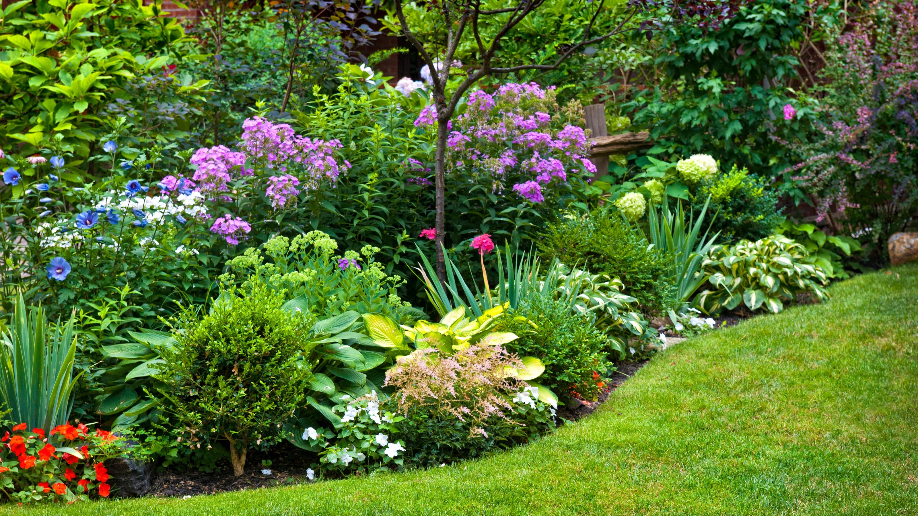 Colourful UK flower border garden design