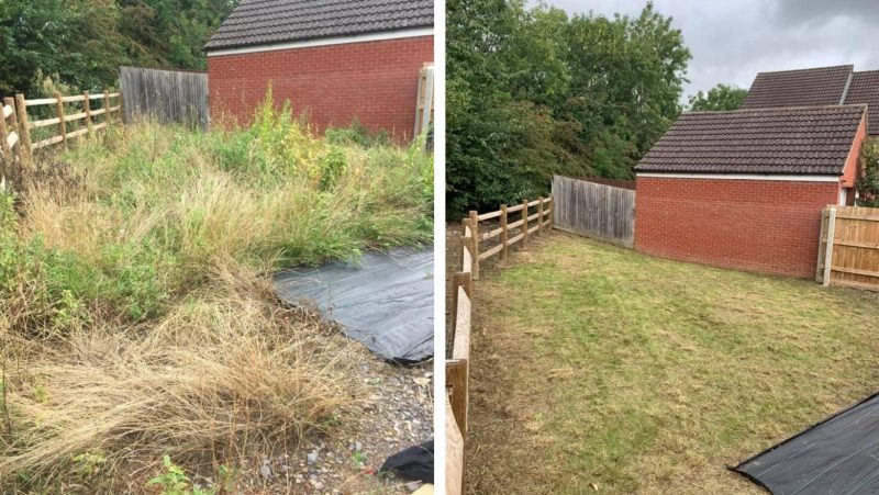 serviceData.gardening.services.gardenClearance.title